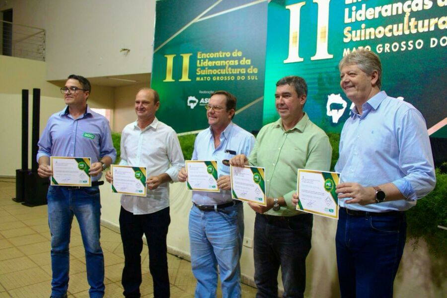 Imagem 1204 suino 1